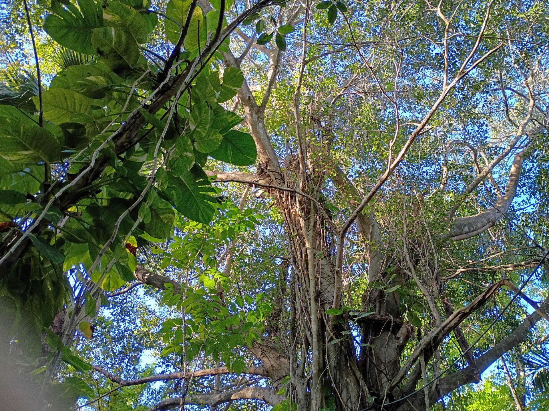 16038 Robin Way, Jupiter, FL 33478 Photo