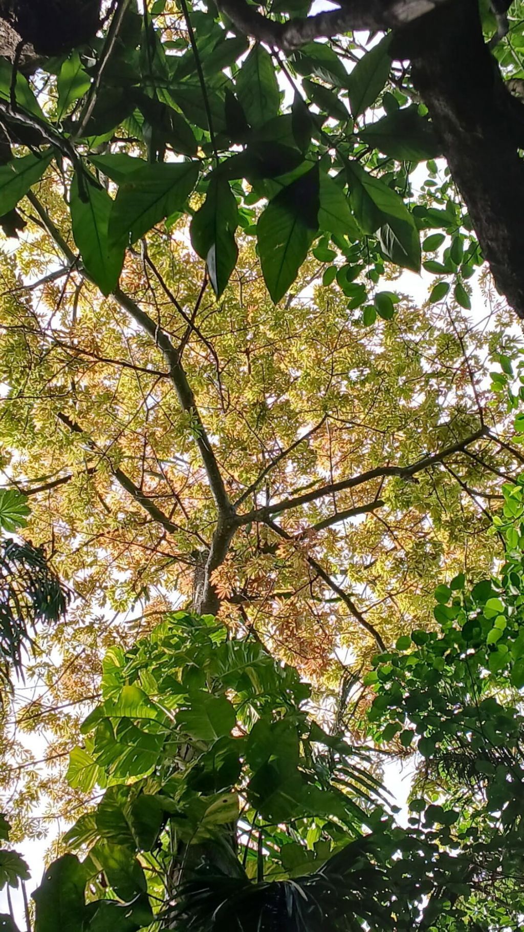 16038 Robin Way, Jupiter, FL 33478 Photo