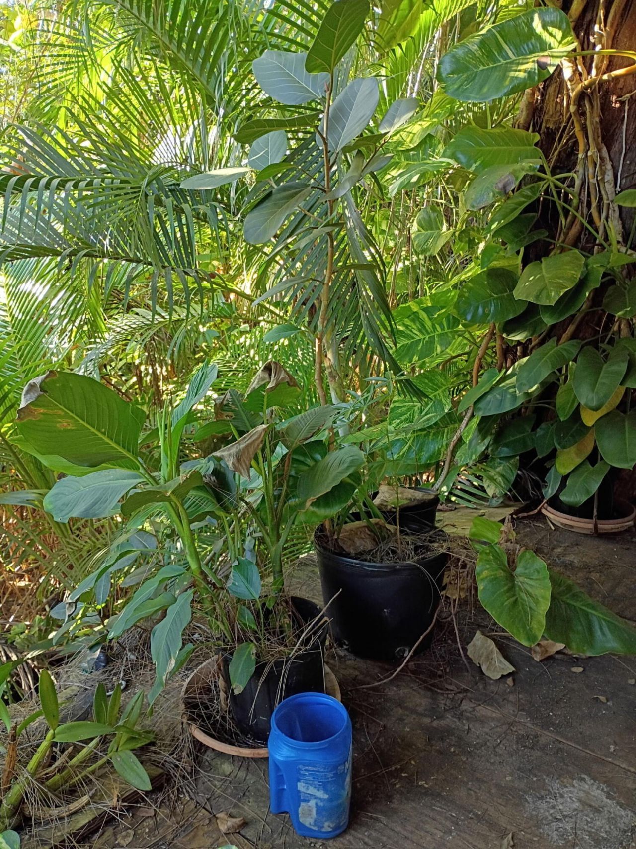 16038 Robin Way, Jupiter, FL 33478 Photo