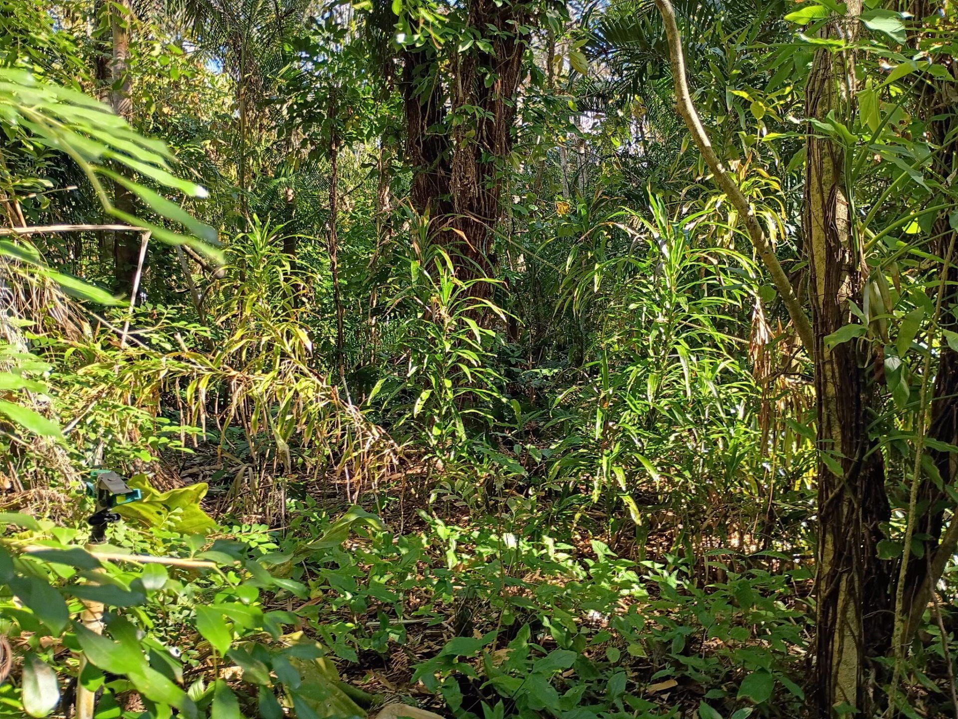 16038 Robin Way, Jupiter, FL 33478 Photo