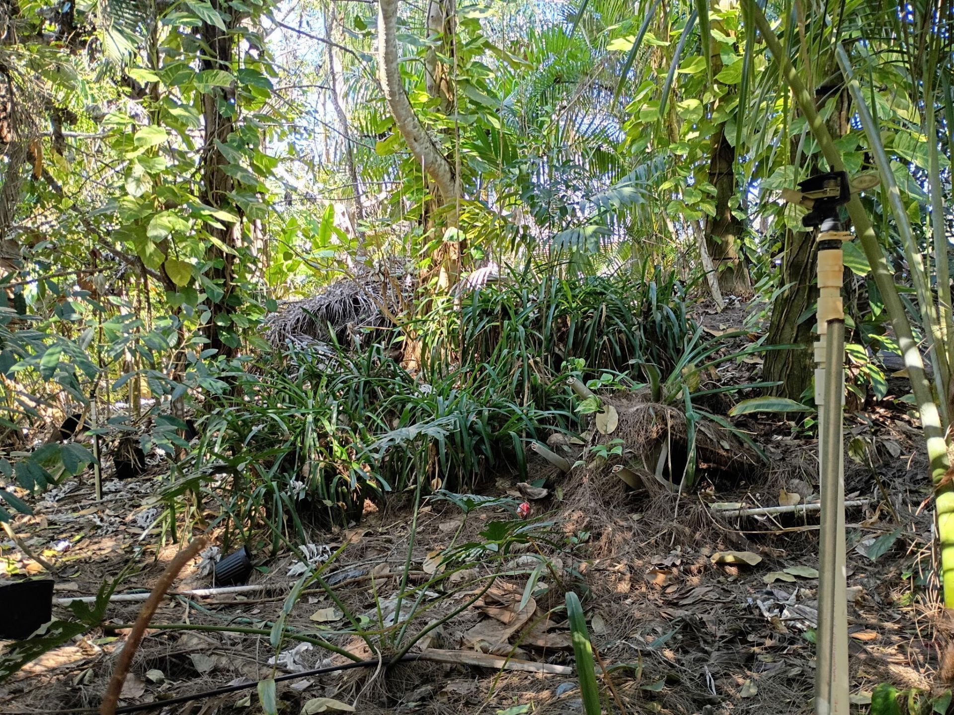 16038 Robin Way, Jupiter, FL 33478 Photo