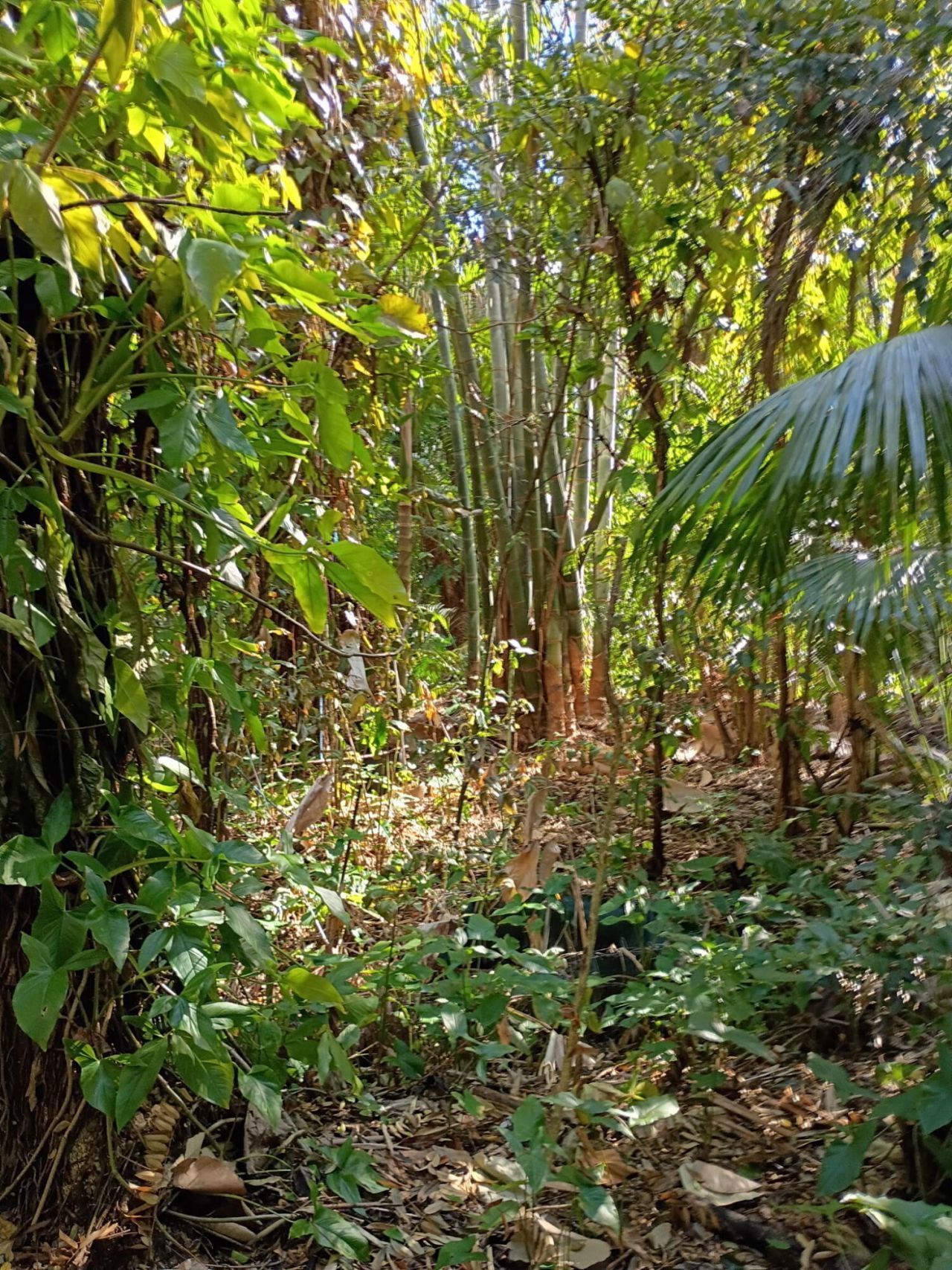 16038 Robin Way, Jupiter, FL 33478 Photo