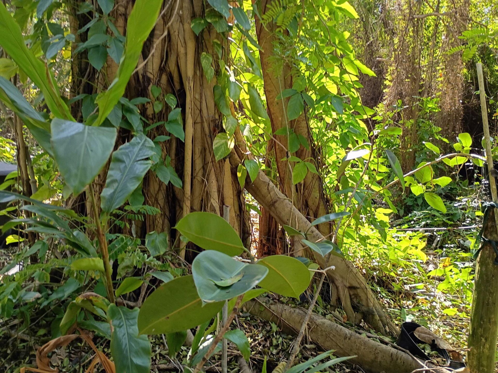 16038 Robin Way, Jupiter, FL 33478 Photo