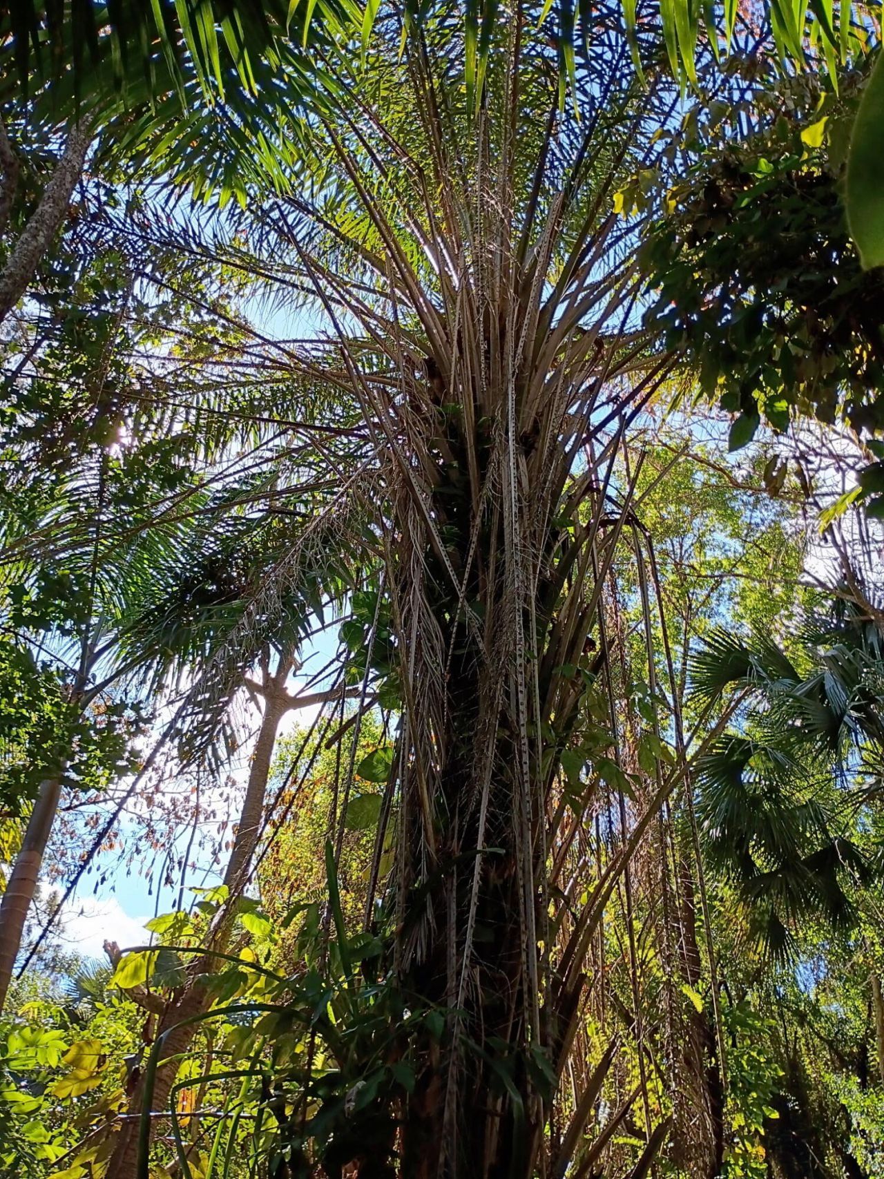 16038 Robin Way, Jupiter, FL 33478 Photo