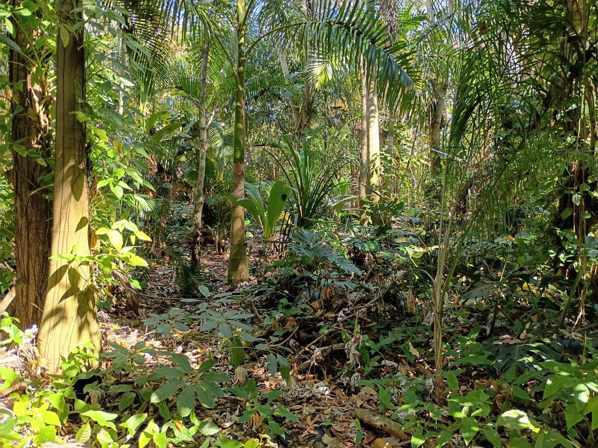 16038 Robin Way, Jupiter, FL 33478 Photo