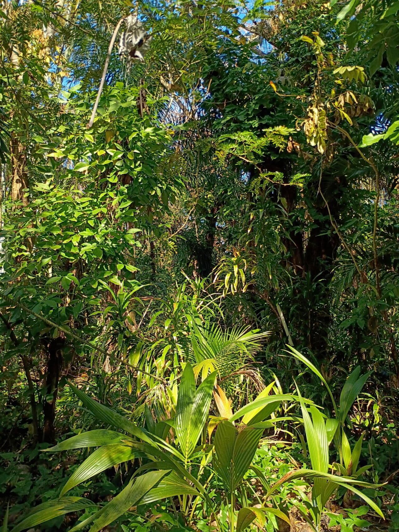 16038 Robin Way, Jupiter, FL 33478 Photo