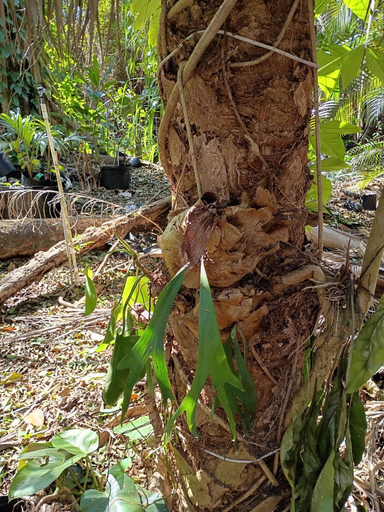 16038 Robin Way, Jupiter, FL 33478 Photo