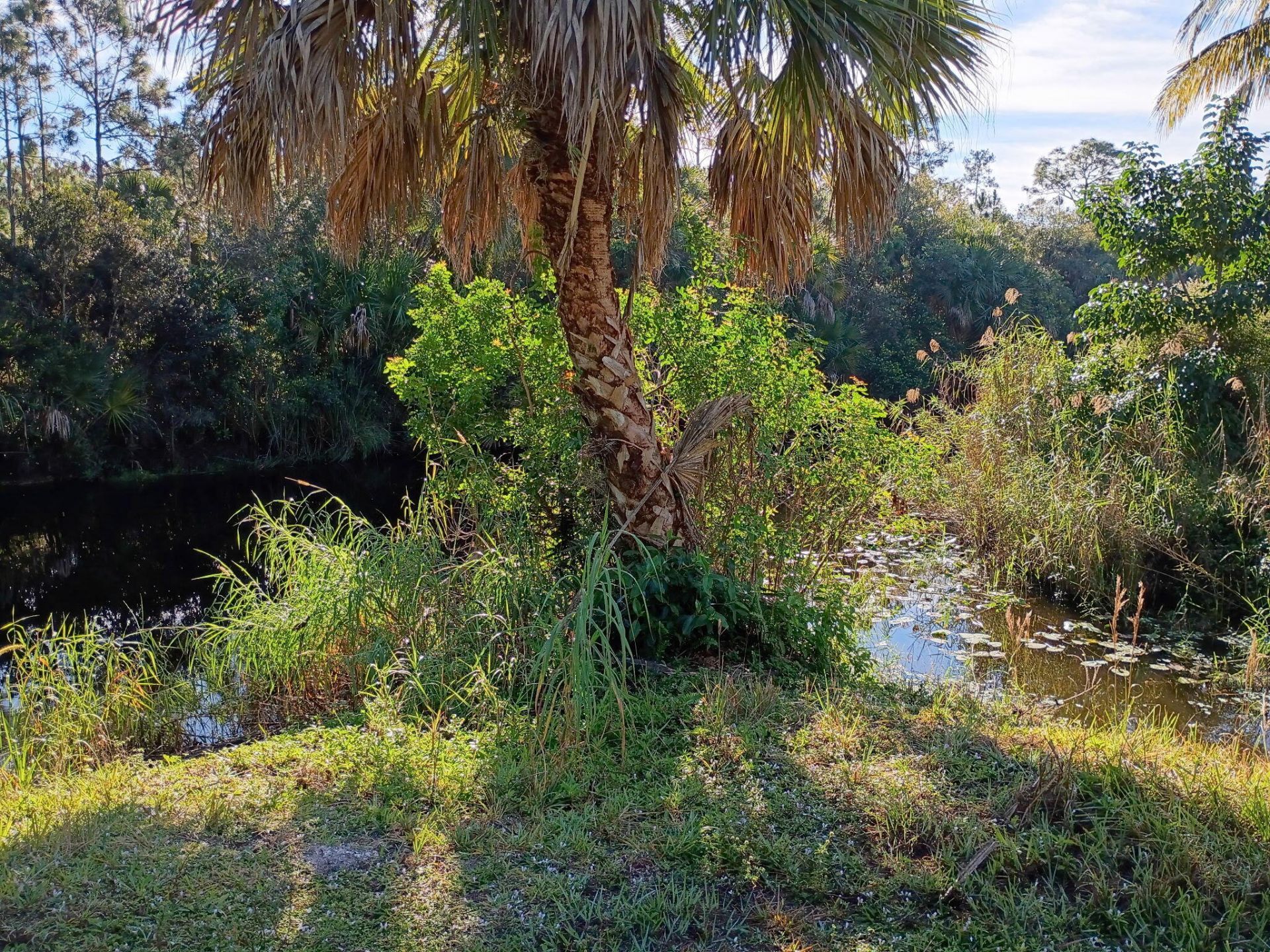 16038 Robin Way, Jupiter, FL 33478 Photo