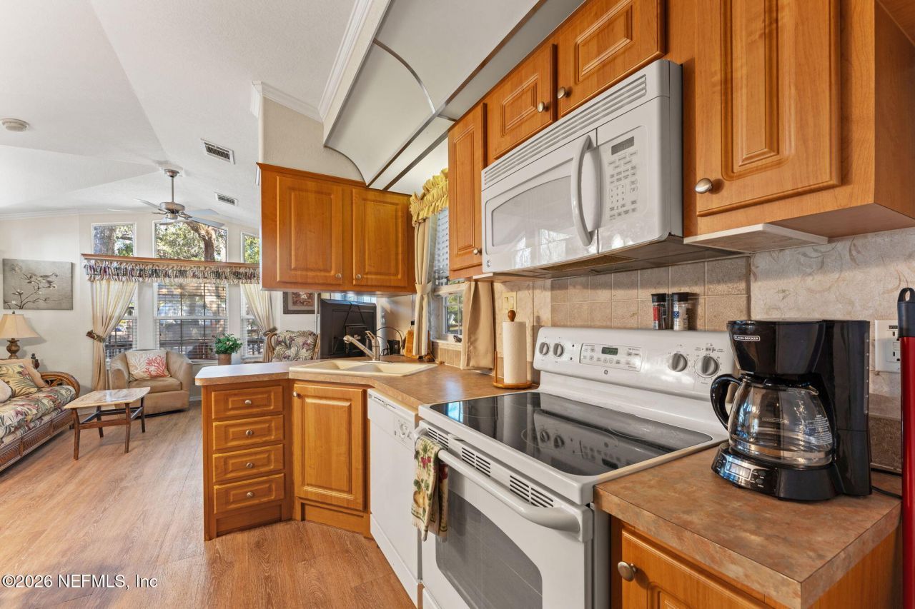 14195 NE 252nd Court Road, Unit 109, Salt Springs, FL 32134 Photo