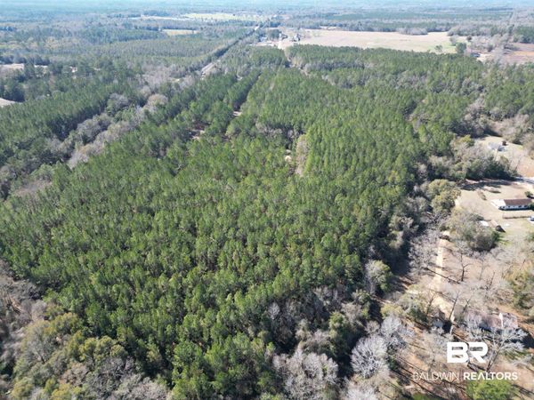 0 Old Fannie Road, Flomaton, AL 36441