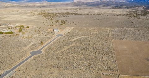 2431 Blaze Court, Gardnerville, NV 89410 Photo