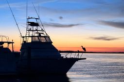 67 W 10th Street photo 4