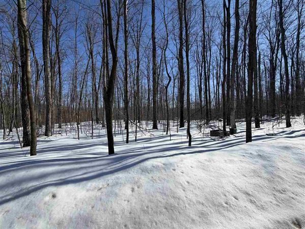 Lot 7 Connemara, Unit Lot 7, Boyne City, MI 49712