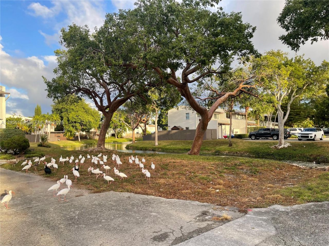 11342 SW 70th Ter, Unit 11342, Miami, FL 33173 Photo