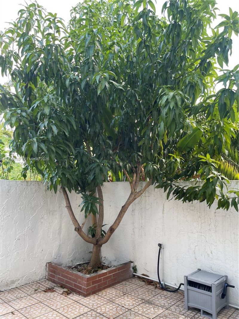 11342 SW 70th Ter, Unit 11342, Miami, FL 33173 Photo