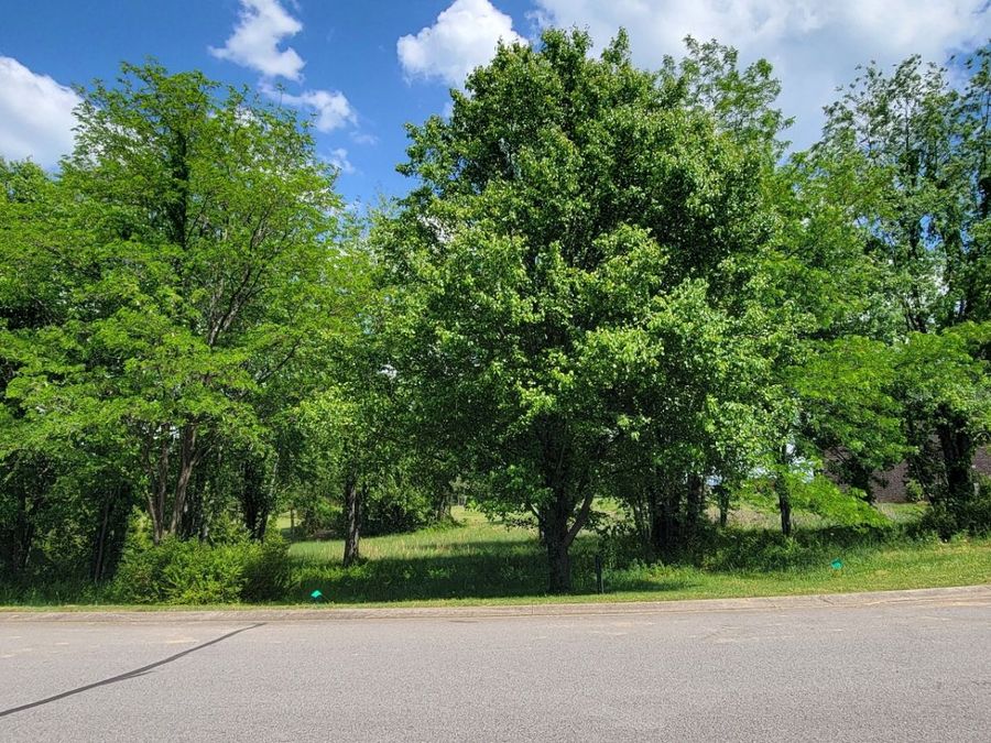 Property Image 20