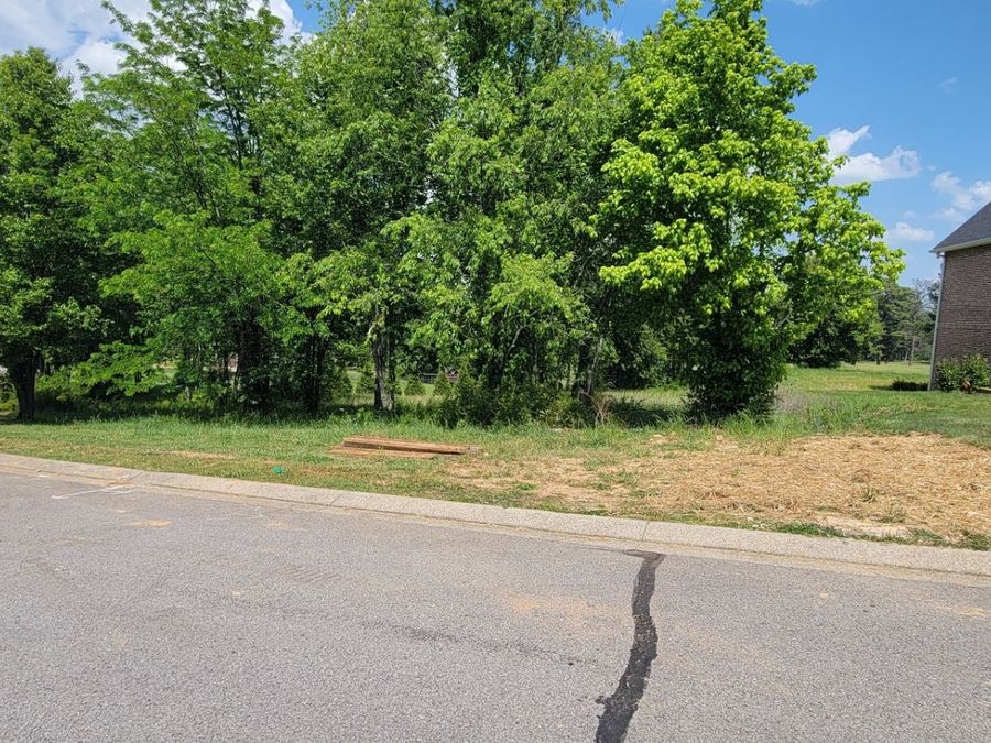 Property Image 33