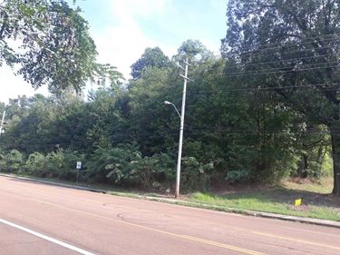 1307 W RAINES RD, Memphis, TN 38109