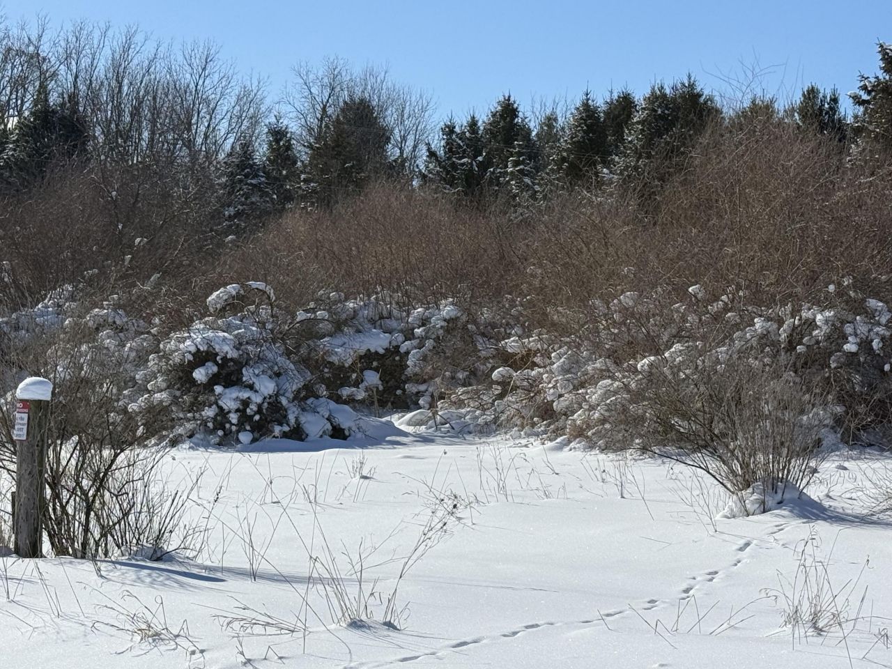 6800 W Barnum Road, Middleville, MI 49333 Main Photo