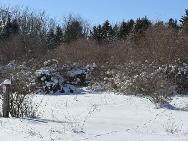 6800 W Barnum Road, Middleville, MI 49333