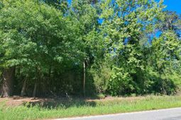 Tbd Lot A Bucksport Rd. photo 4