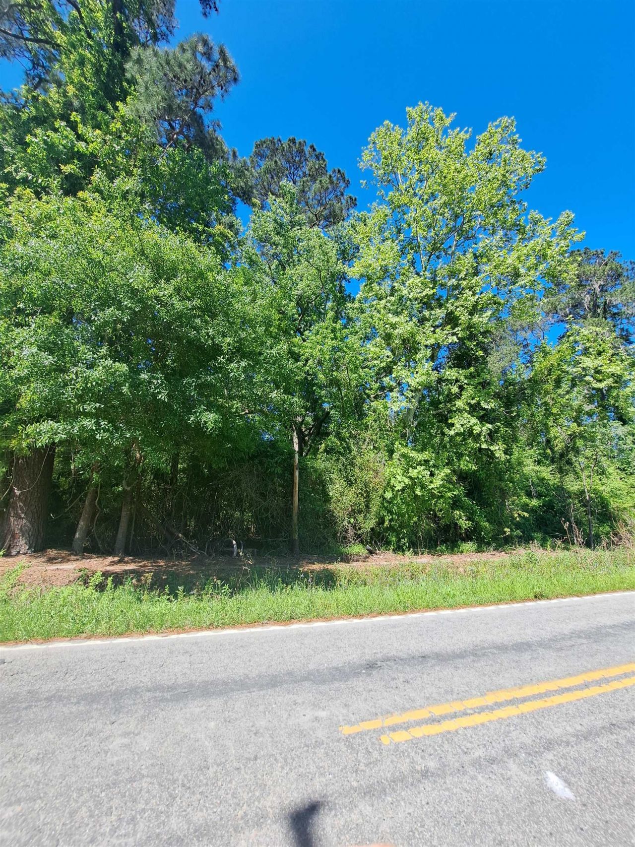 Tbd Lot A Bucksport Rd. Photo 5