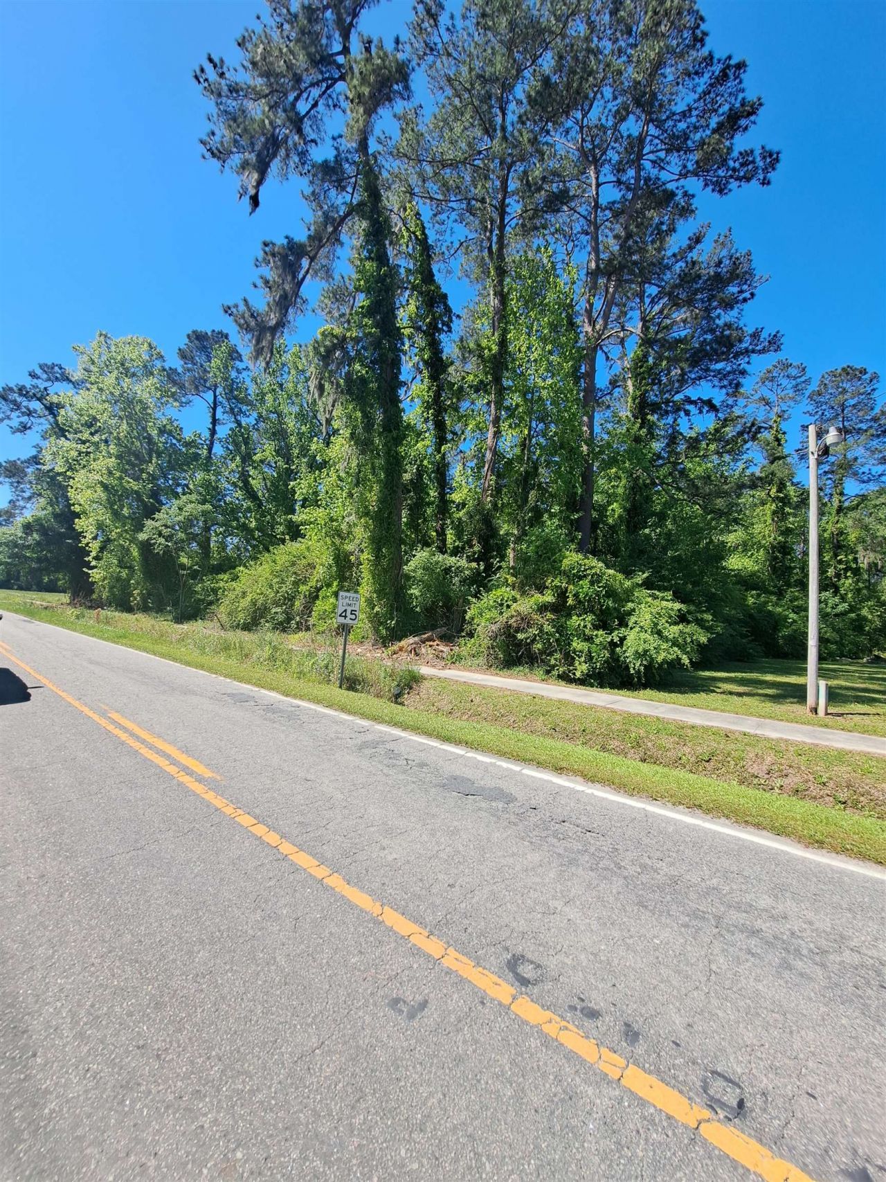 Tbd Lot A Bucksport Rd. Photo 9