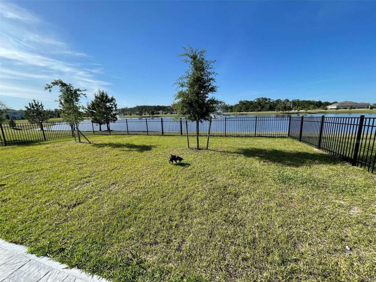 6798 Grace Hammock Road, Harmony, FL 34773 Photo