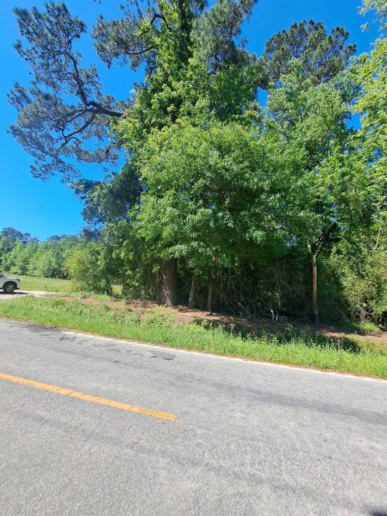 Tbd Lot B Bucksport Rd. Photo 6