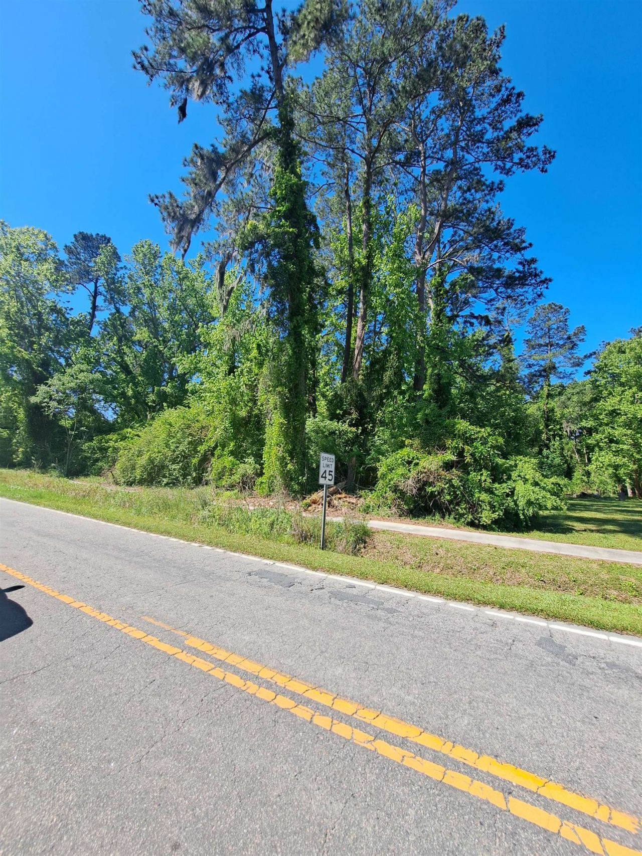 Tbd Lot B Bucksport Rd. Photo 8