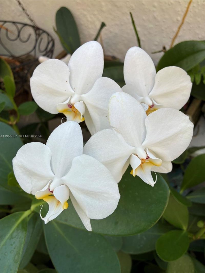 8144 SW 86th Ter, Miami, FL 33143 Photo