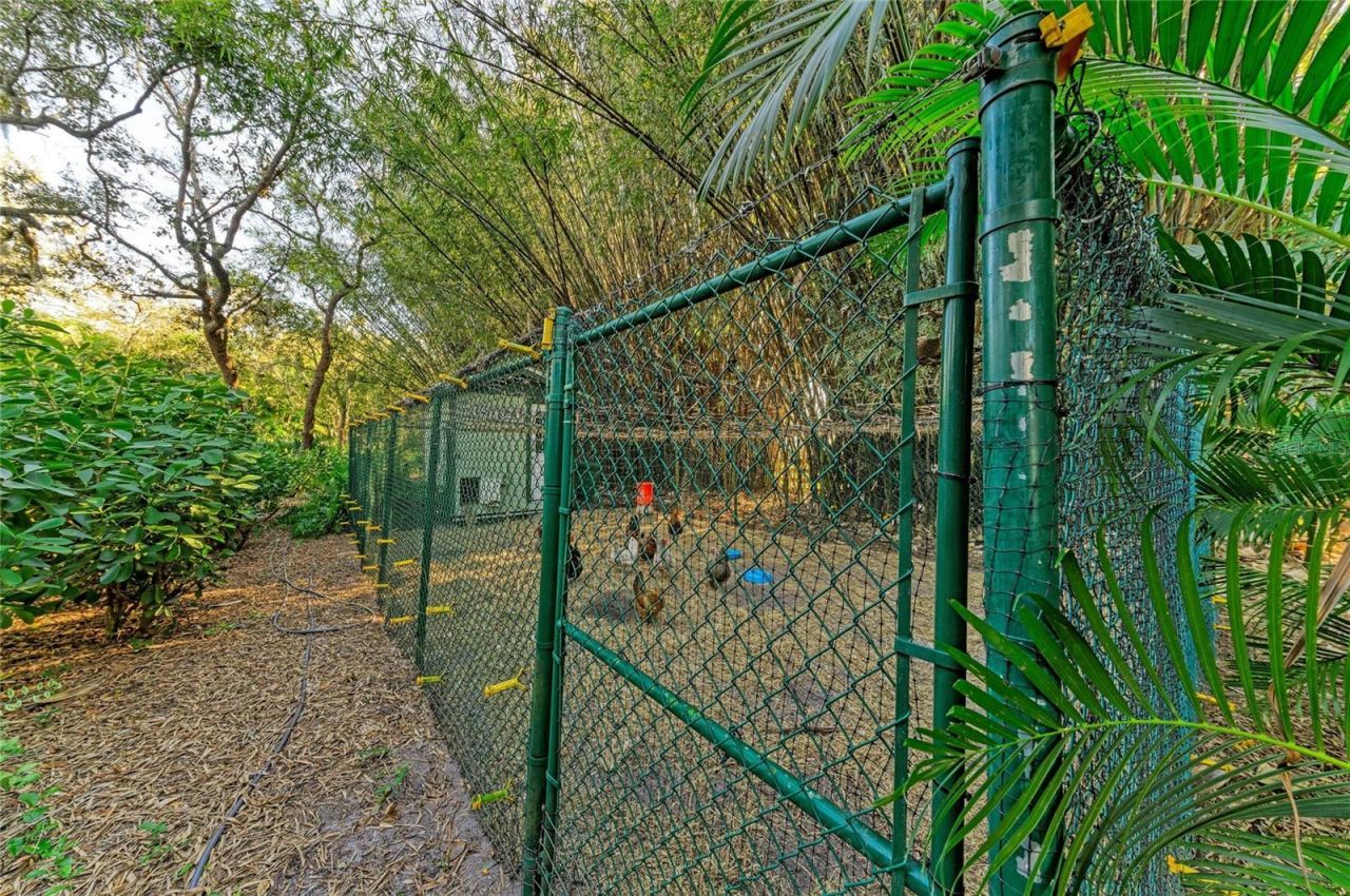 39321 Washington Loop Road, Punta Gorda, FL 33982 Photo