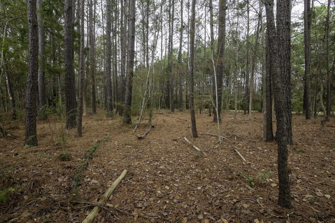 412 Jones Ave. Photo 29