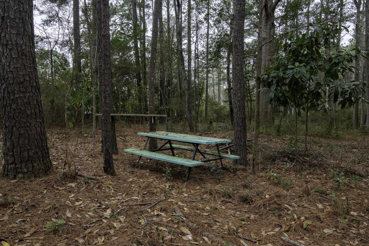 412 Jones Ave. Photo 30