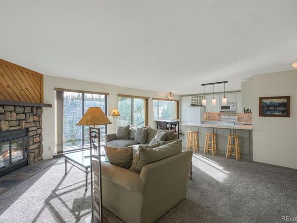 9825 Ryan Gulch Road, Unit 201, Silverthorne, CO 80498