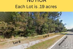 Tbd Mineola Ave. photo 4