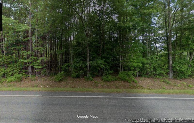 Lot 1 S Plank Road, Sanford, NC 27330 Main Photo