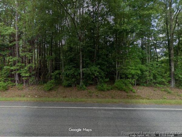 Lot 1 S Plank Road, Sanford, NC 27330