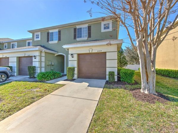 20424 NEEDLETREE DRIVE, TAMPA, FL 33647