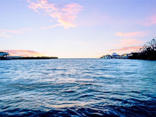 14603 MCDONALD LANE, HUDSON, FL 34667