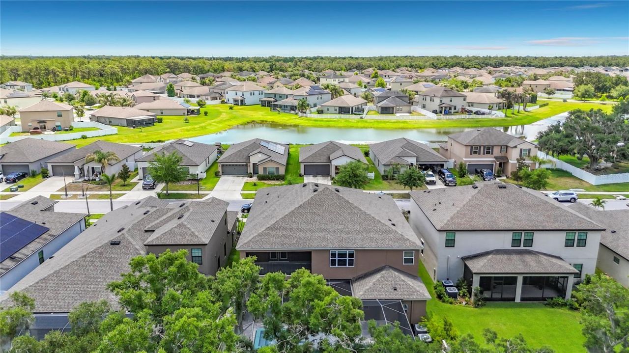 13231 Wildflower Meadow Drive, Riverview, FL 33579 Photo
