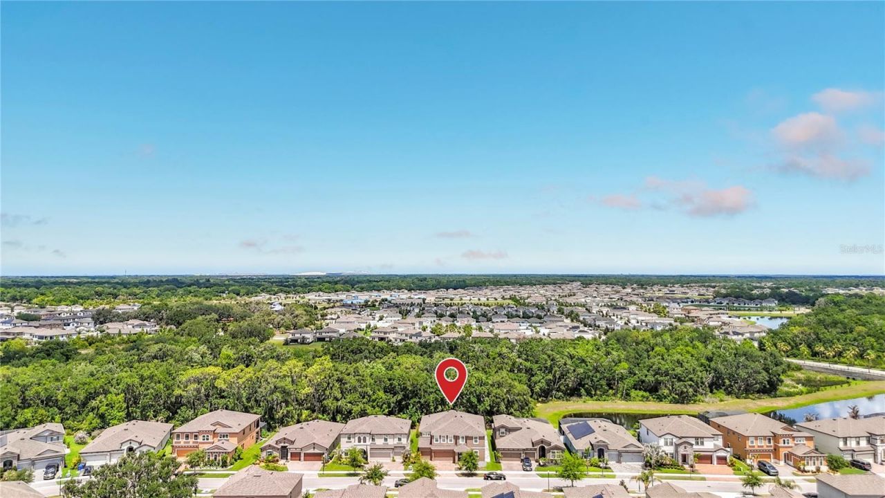 13231 Wildflower Meadow Drive, Riverview, FL 33579 Photo
