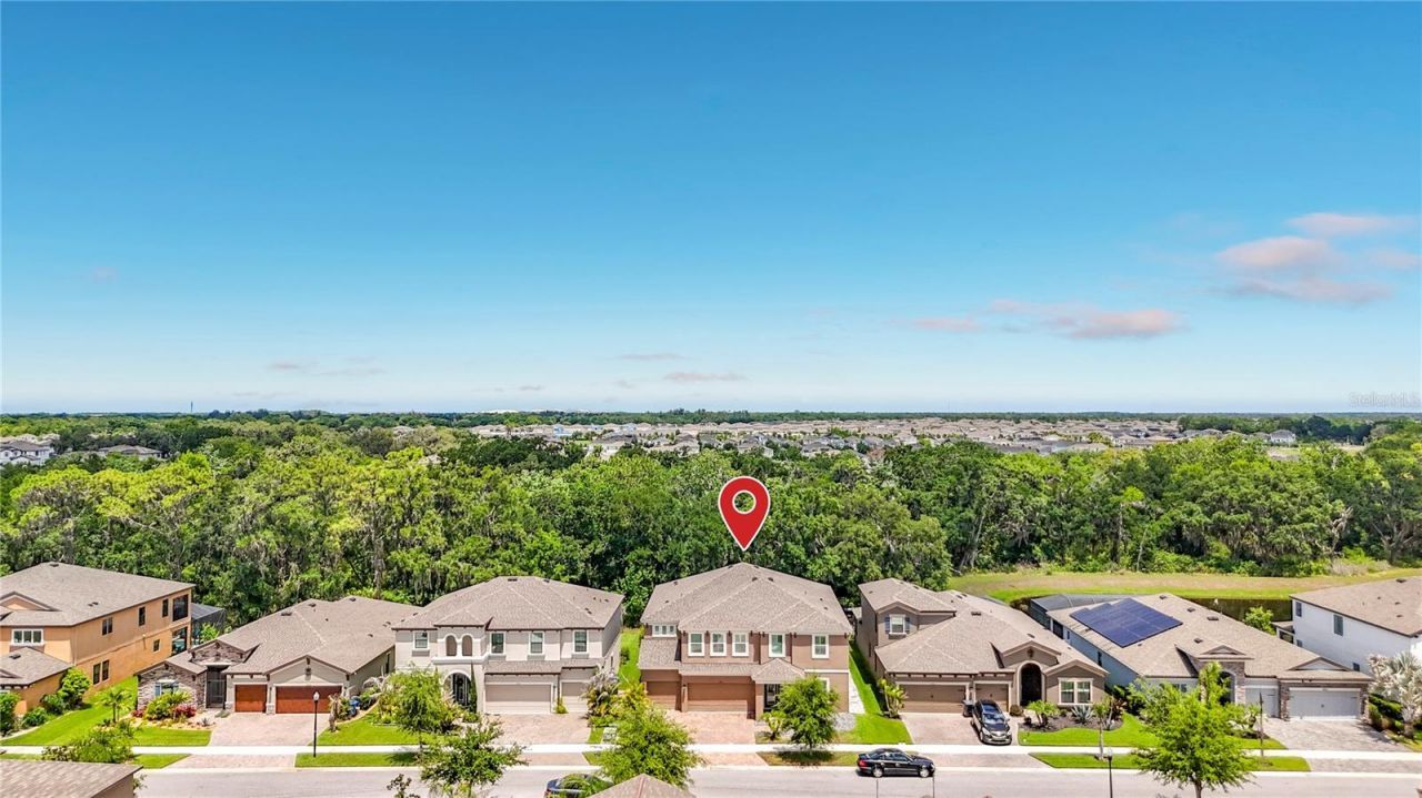 13231 Wildflower Meadow Drive, Riverview, FL 33579 Photo