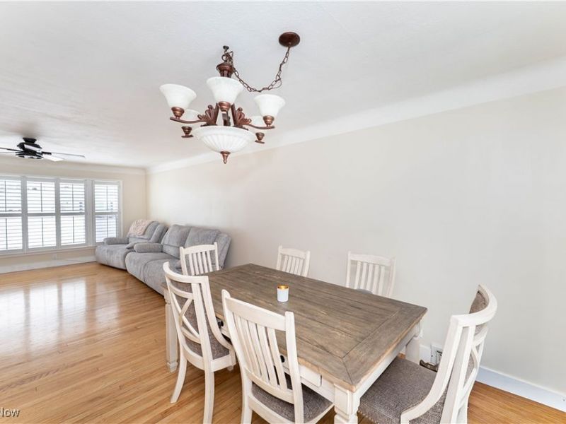 1709 Roselawn Road, Mayfield Heights, OH 44124 Photo 6