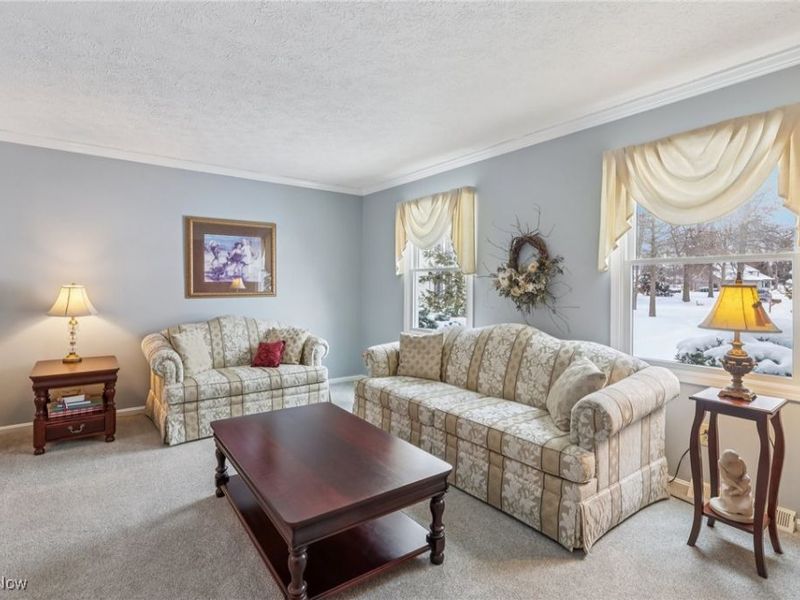 396 Creekside Drive, Avon Lake, OH 44012 Photo 5