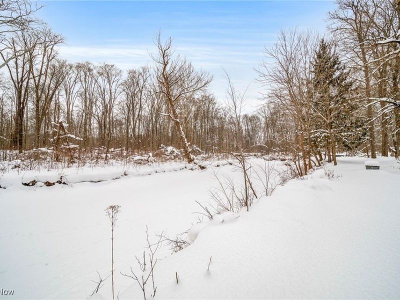 13610 Sperry Road, Novelty, OH 44072 Photo 25