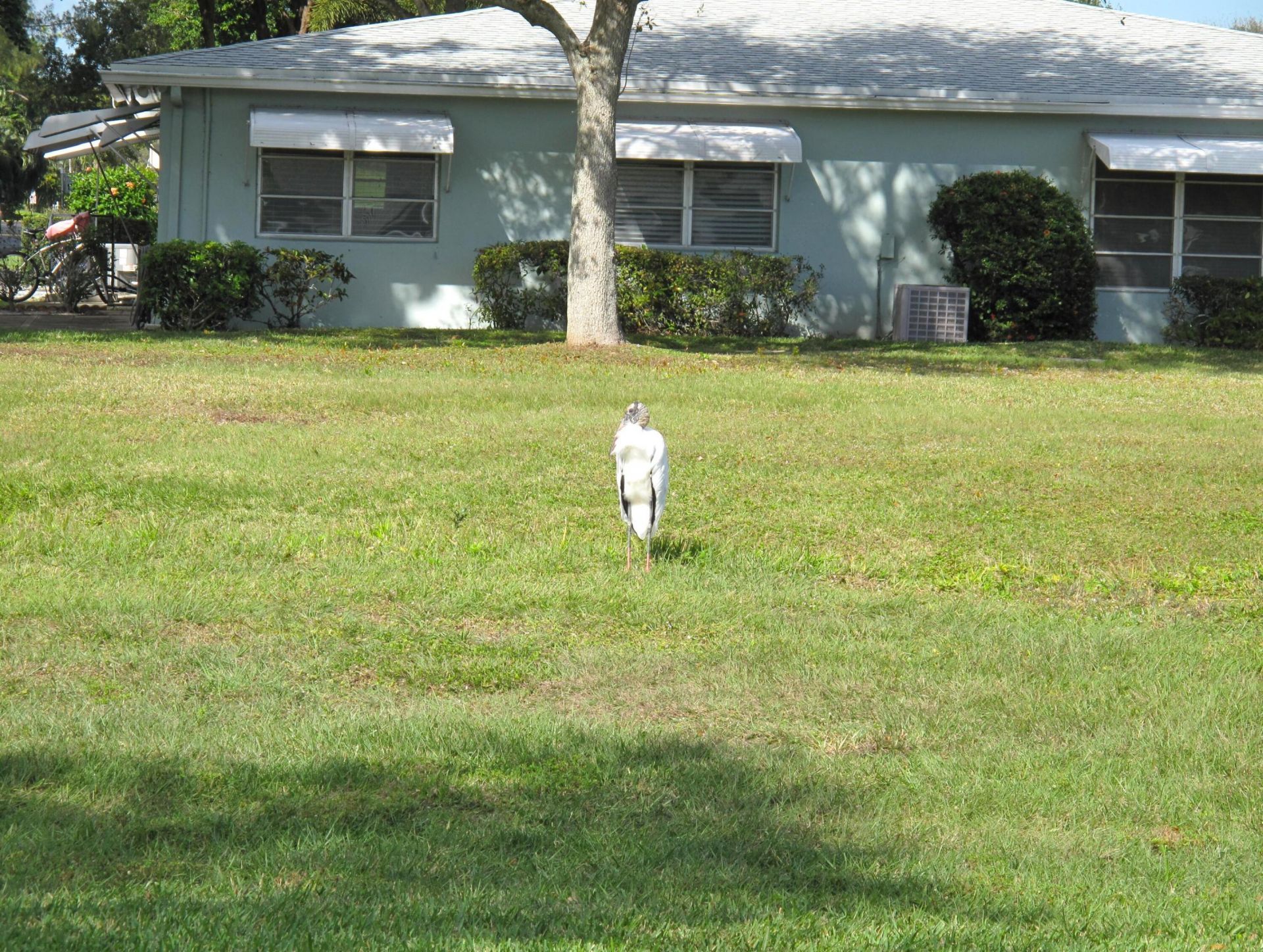 277 High Point Court W, Unit D, Delray Beach, FL 33445 Photo