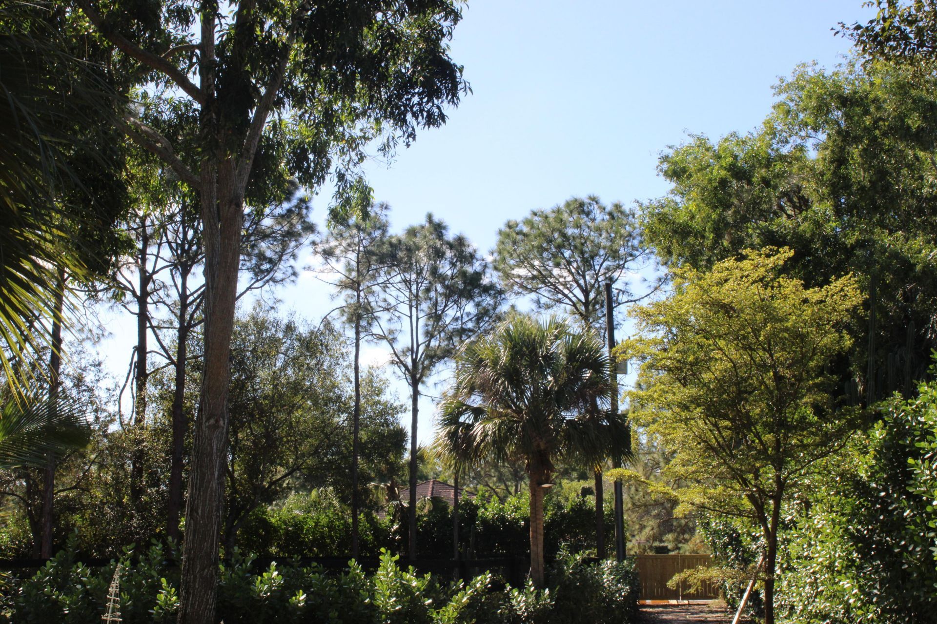 930 Rambling Drive Circle, Wellington, FL 33414 Photo