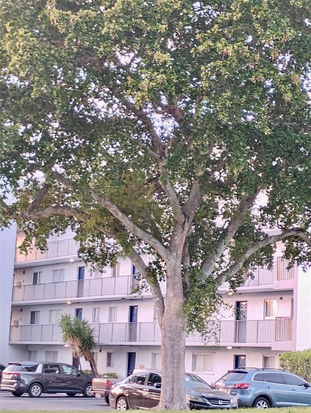 8730 N Sherman Circle, Unit 507, Miramar, FL 33025 Photo