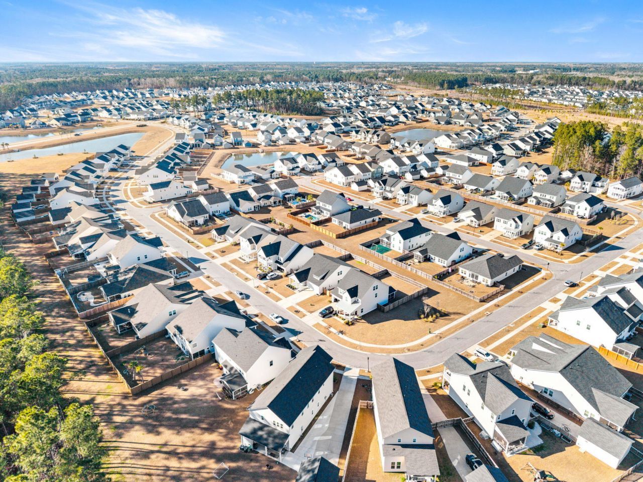 222 Woodland Oak Way Photo 42